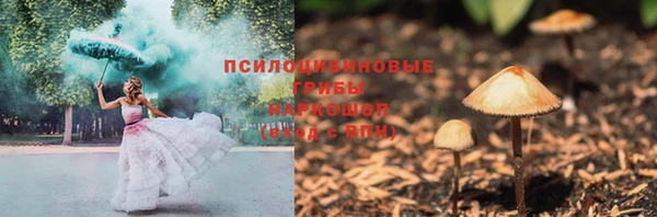 дживик Володарск