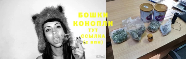 spice Протвино