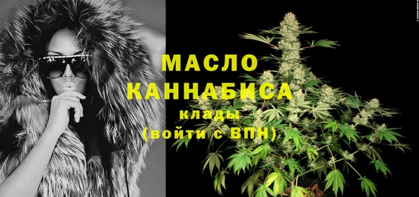 дживик Володарск