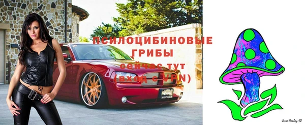 соль ск Волоколамск