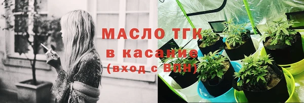 дживик Володарск